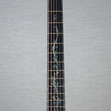 Taylor PS14ce Honduran Rosewood Acoustic Guitar - New