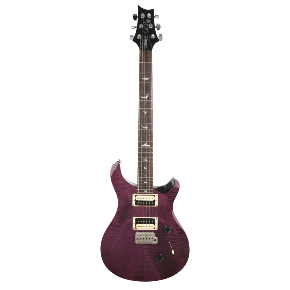 PRS SE Custom 24 - Limited Edition Amethyst, Black Back – Chuck