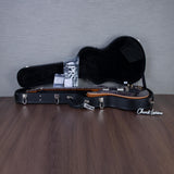 PRS Hollowbody II Piezo 10-Top Hollowbody Electric Guitar - Aurora Borealis