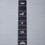 PRS Custom 24 10-Top Solid Body Electric Guitar - Aurora Borealis - #0410275