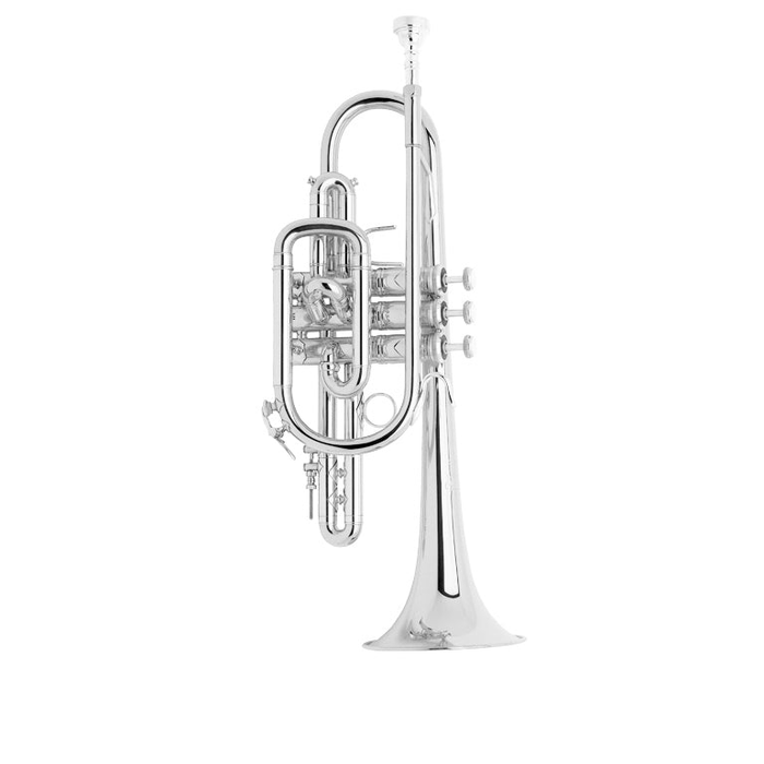 Bach 181SML Stradivarius B-Flat Cornet Outfit - Silver Plated