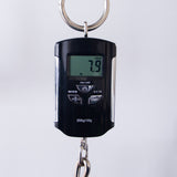 ESP USA V-II FR Electric Guitar - Midori Gold Sparkle - #US24235 - Mint, Open Box