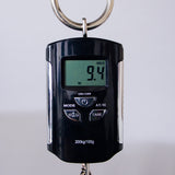 Brubaker Custom Shop NBS-5 5-String Headless Electric Bass Guitar - Purple Haze - #034-24