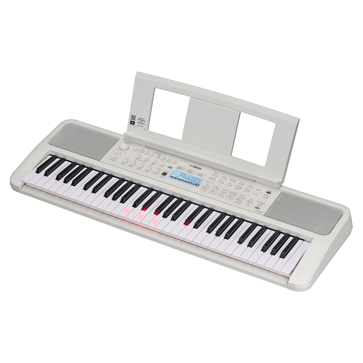 Yamaha EZ-310 61-Key Portable Keyboard with Lighted Keys – Chuck