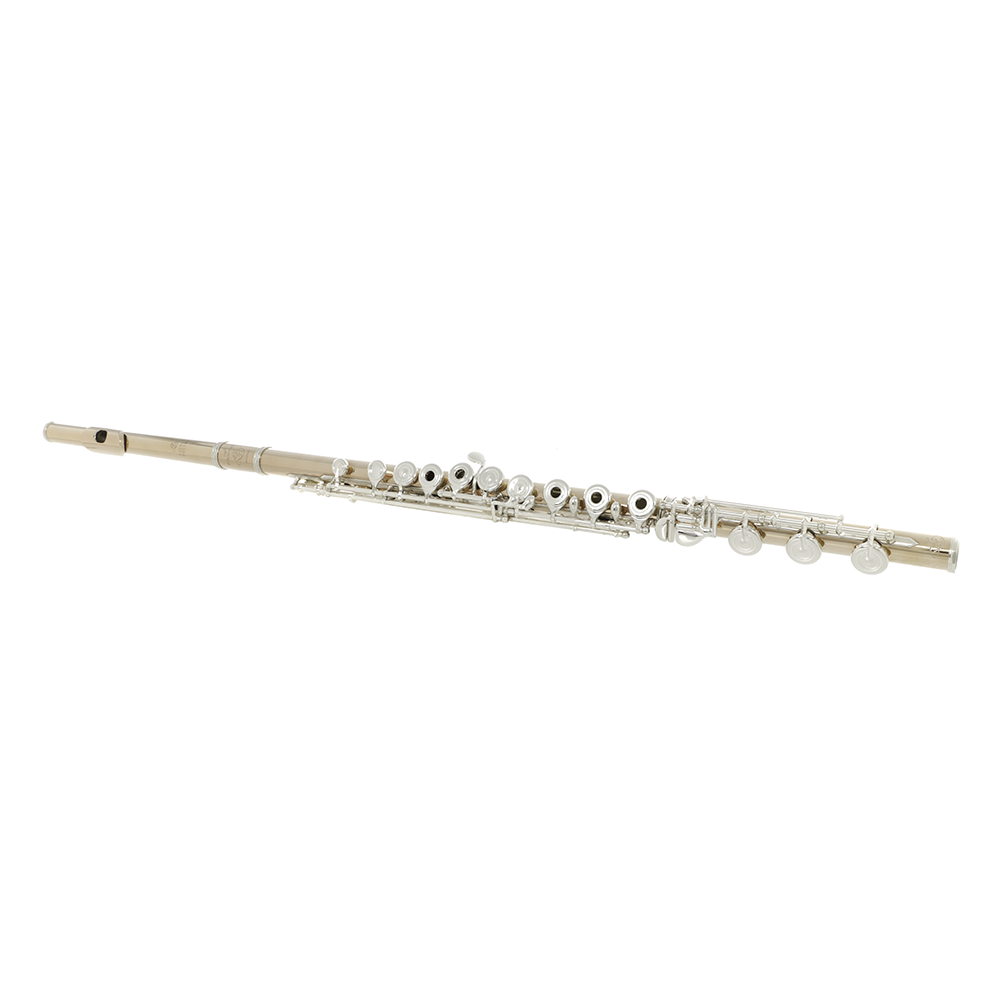 Di Zhao DZ GS-D Professional Flute - 14K Gold-Clad Silver