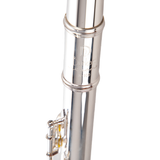 Burkart Resona 300 Flute - Offset G, C# Trill, B Foot