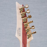 Ibanez Joe Satriani JS1GD Signature Electric Guitar - Gold - #210001F2503701