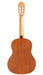 Cordoba C1M Nylon String Acoustic Guitar - 1/2 Size - New
