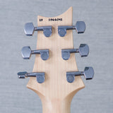 PRS CE24 Electric Guitar - Eriza Verde - #230366042 - 2023
