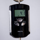 Bedell Seed to Song Parlor Acoustic Guitar - Quilt Bubinga and Sitka Spruce - Triple Burst Finish - CHUCKSCLUSIVE - #1222003