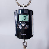 Spector USA Custom NS-2 Hot Rod Series Painted by Dan Lawrence Electric Bass Guitar - "Real Flame" - CHUCKSCLUSIVE - #1999