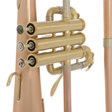 Blessing BFH1541RT Flugelhorn Outfit