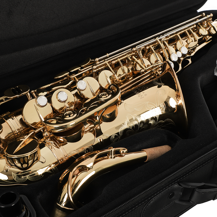 Andreas Eastman EAS850 Professional Alto Saxophone with Case