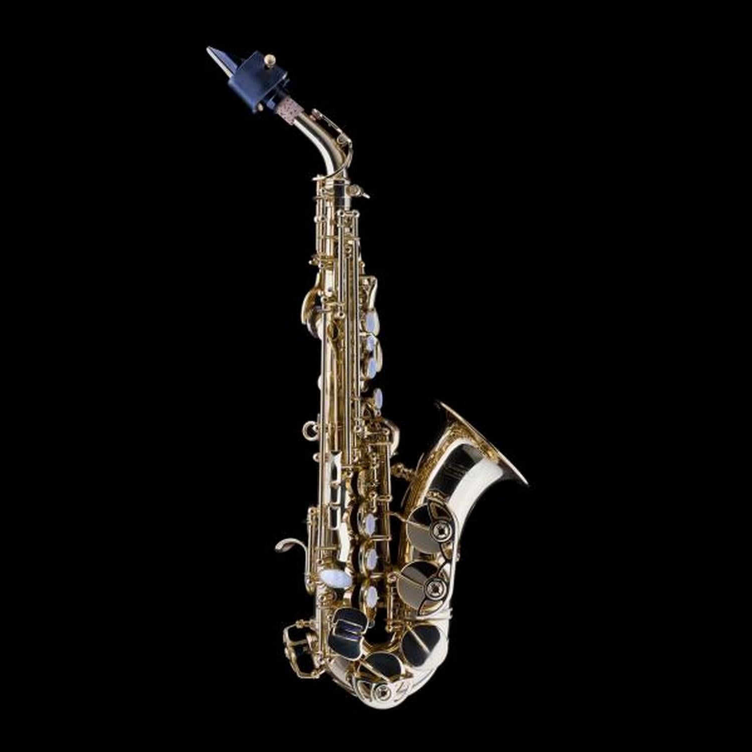 Schagerl SC-1L Superior Curved Soprano Saxophone - Lacquered