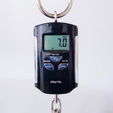 Godin MultiAc Grand Concert SA Nylon String Acoustic-Electric Guitar - Trans Black - CHUCKSCLUSIVE - #25313356