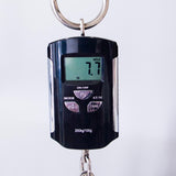 Lerxst Grace Alex Lifeson Signature Electric Guitar with Vega Trem Signed - Red - #24310900