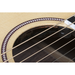 Seagull Artist Mosaic CW HG EQ Acoustic Guitar w/TRIC Case - New