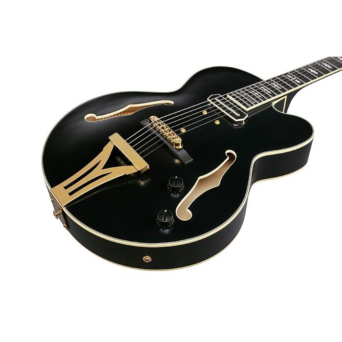 Ibanez PM3C Hollow Body Guitar - Black Low Gloss – Chuck Levin's