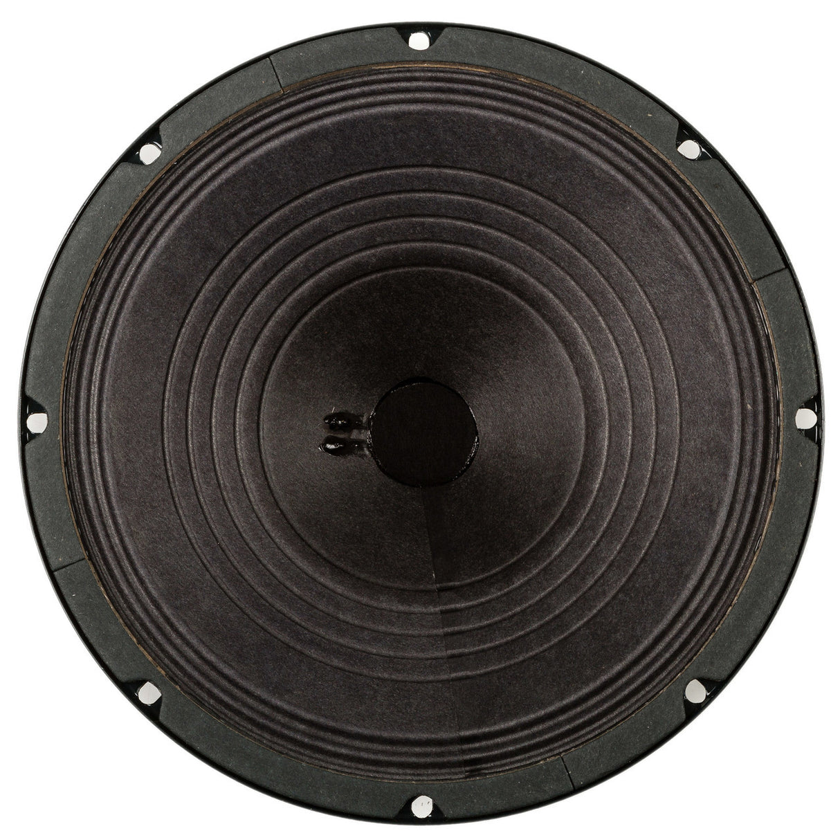 Jensen Vintage Alnico 10-Inch Guitar Speaker