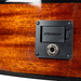 Breedlove ECO Discovery S Concertina CE Acoustic Guitar - Edgeburst, Red Cedar - New
