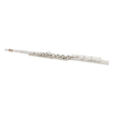 Di Zhao D-Series Silver Flute w/Offset G, C# Trill, & D# Roller