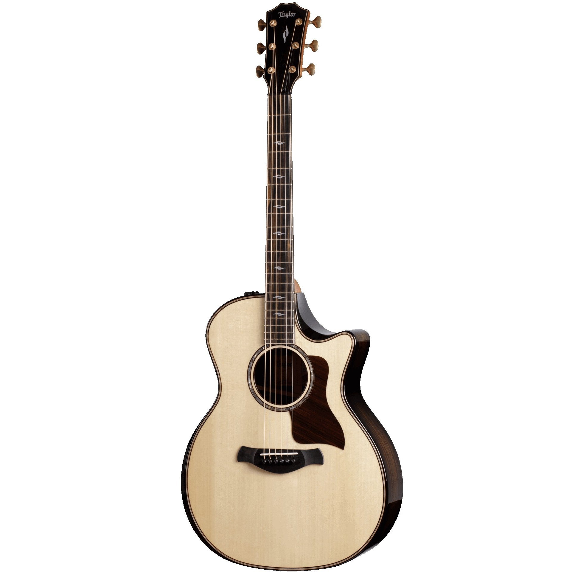 Taylor Builder's Edition 814ce Acoustic Electric Guitar – Chuck