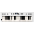 Roland GO:KEYS 5 Music Creation Keyboard - Mint, Open Box