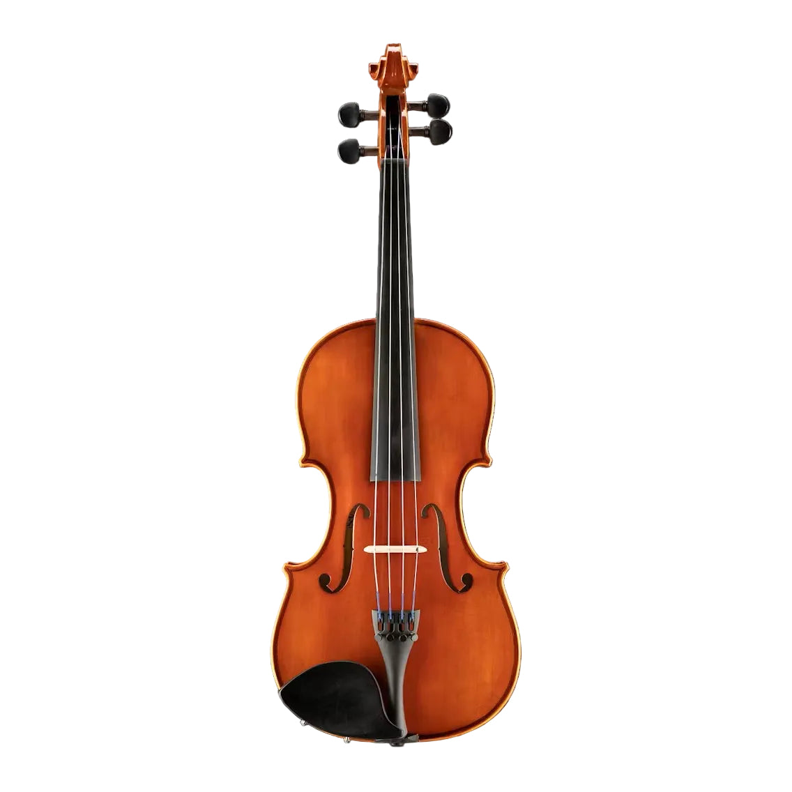 Eastman Strings Model 80 Student Viola Outfit - 14-Inches