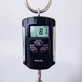 PRS 40th Anniversary Limited Edition McCarty SC56 Electric Guitar - McCarty Sunburst - #250405515