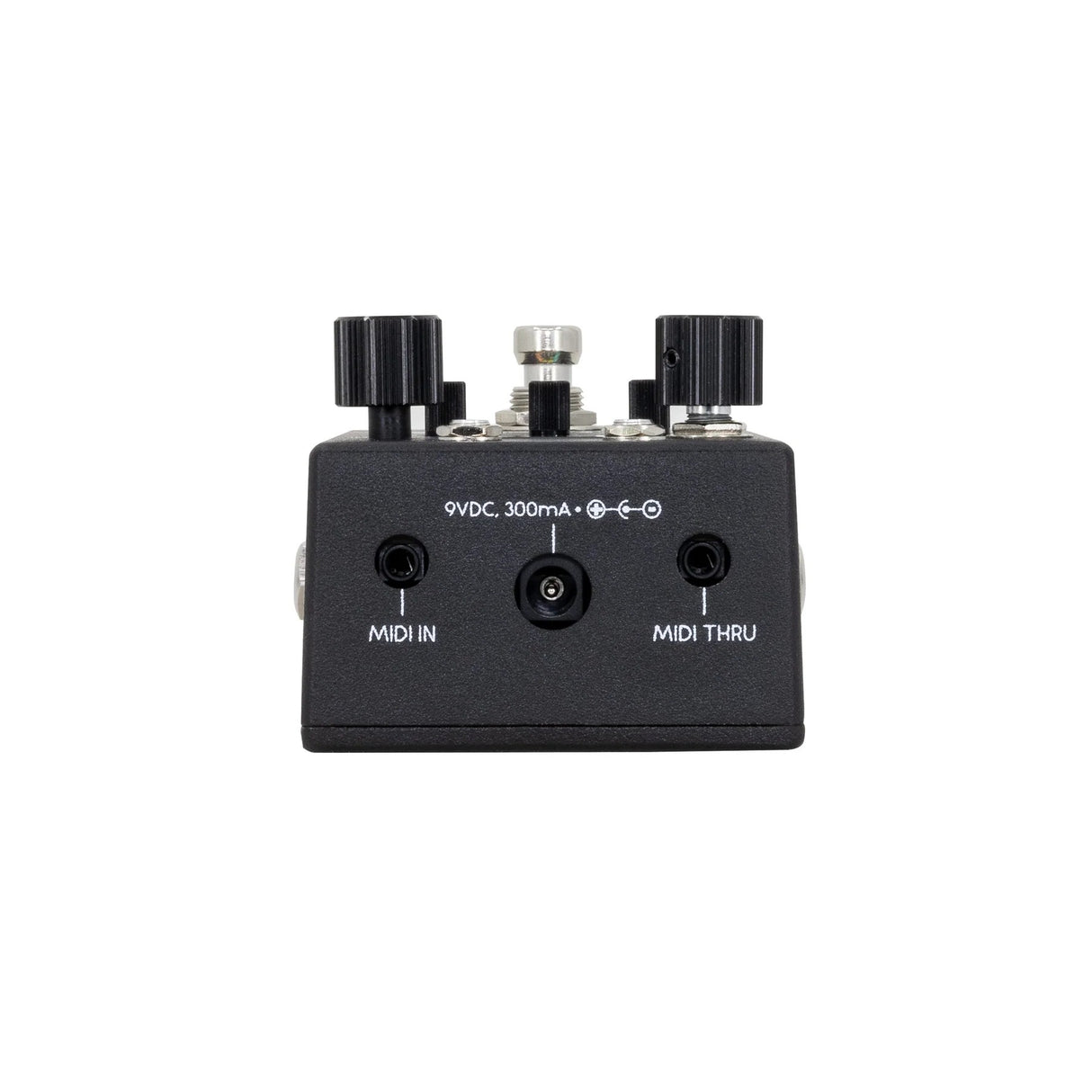 Walrus Audio Canvas Rehearsal Effects Pedal