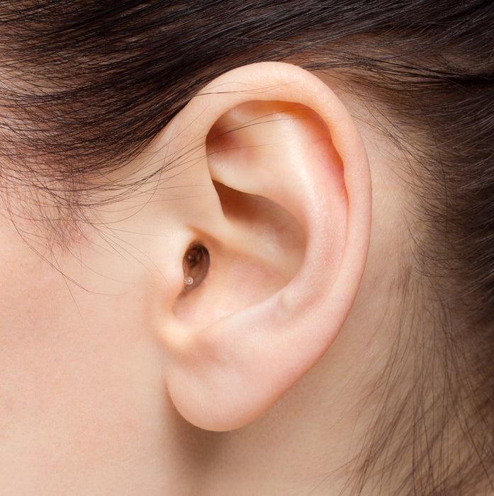 EARasers M1-S Musicians Plugs - Small Earplugs
