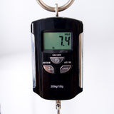 PRS 2022 Private Stock Special Semi-Hollow Limited Edition - New