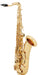 Prelude TS711 Student Tenor Saxophone Outfit