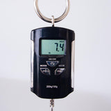 Sire Marcus Miller M6 Headless Electric Bass Guitar - Tobacco Sunburst Satin