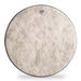 Remo 16" Fiberskyn Ambassador Bass Drum Head