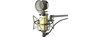 Avantone Pro BV-1 Large-diaphragm Tube Condenser Microphone