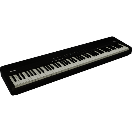 Roland FP-40-BK Digital Piano - Black