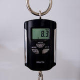 ESP E-II Eclipse DB Electric Guitar - Granite Sparkle - #ES5662213 - Mint, Open Box