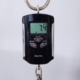 PRS McCarty 594 Electric Guitar - Bonnie Pink With Black Back - #250379536