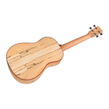 Cordoba 24B Spruce Baritone Ukulele