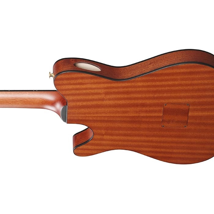 Ibanez FRH10N Acoustic Guitar - Indigo Blue Metallic Flat – Chuck