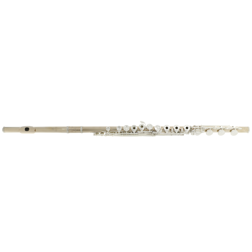 Di Zhao DZ GS-D Professional Flute - 14K Gold-Clad Silver