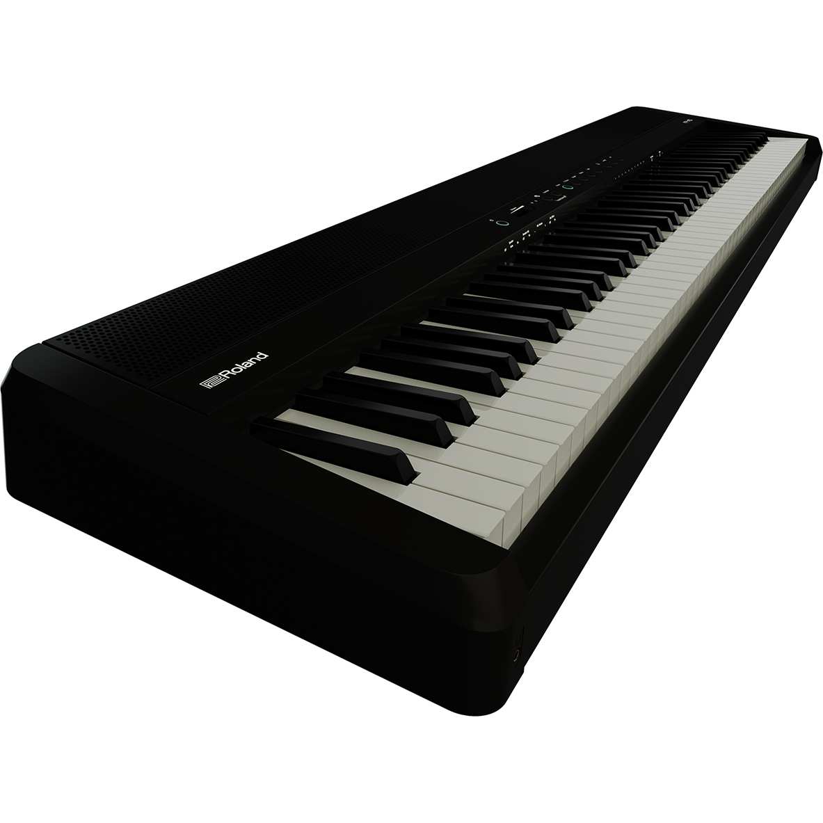 Roland FP-40-BK Digital Piano - Black