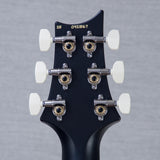 PRS Swamp Ash Special Custom Color Electric Guitar - Swamp Burst - #0421567