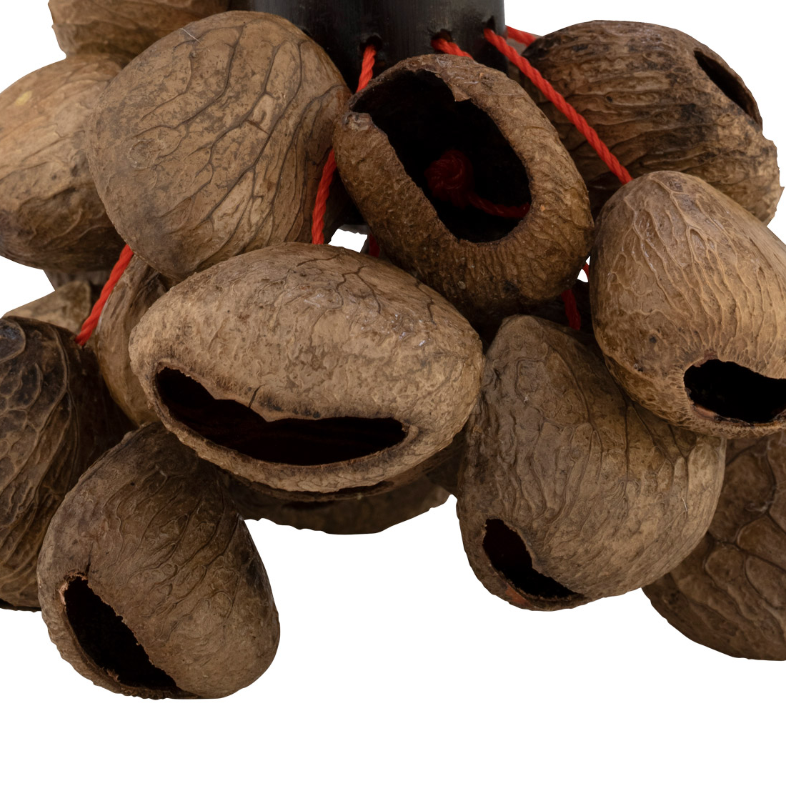 Pearl Pangi Nut Shaker with Rope Handle