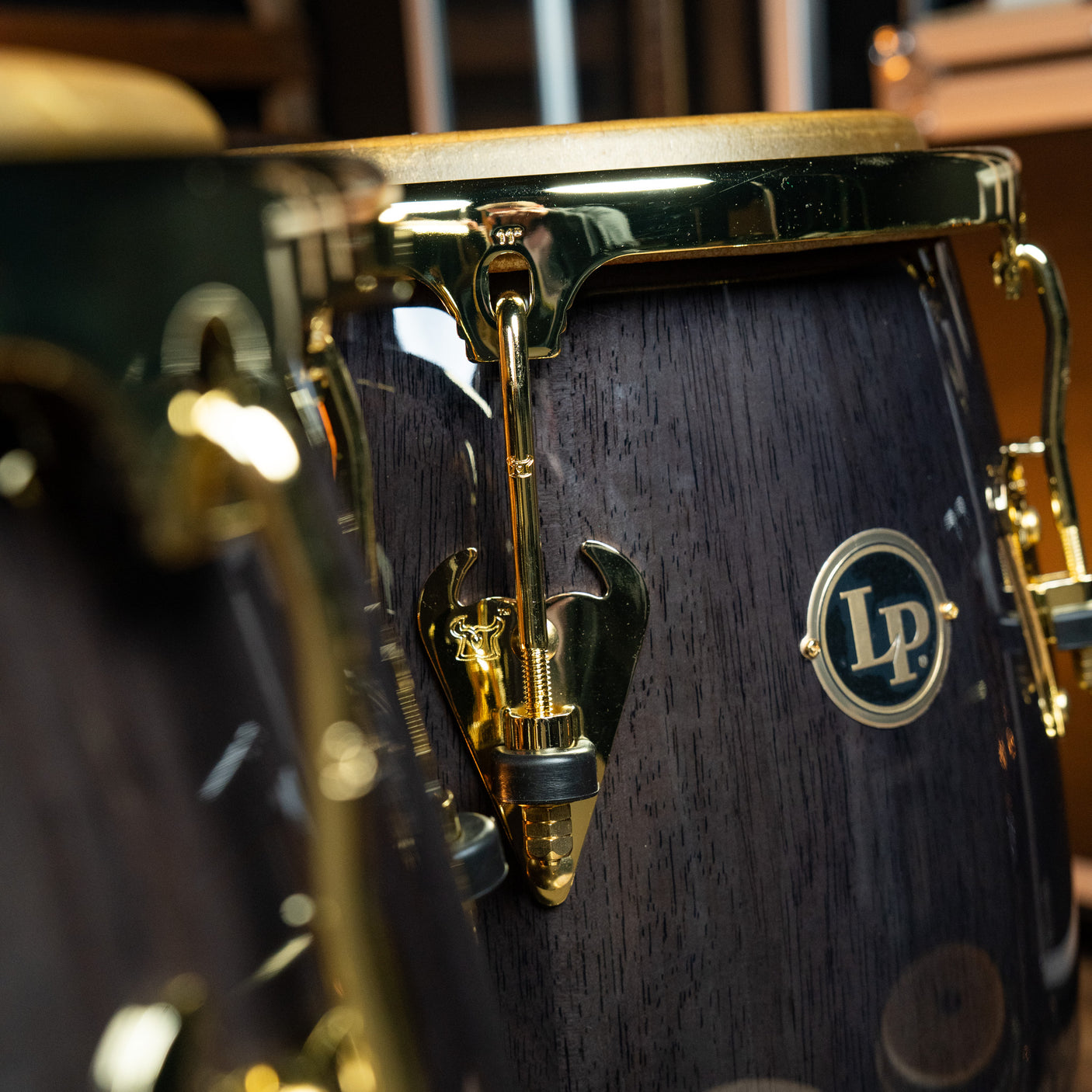 LP 11 and 3/4-Inch Matador Conga, Siam Oak - Black with Gold Hardware - CHUCKSCLUSIVE