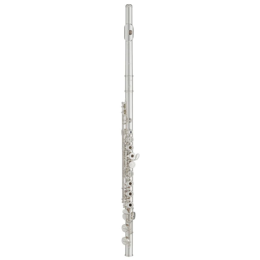 Flutes - Chuck Levin's Washington Music Center