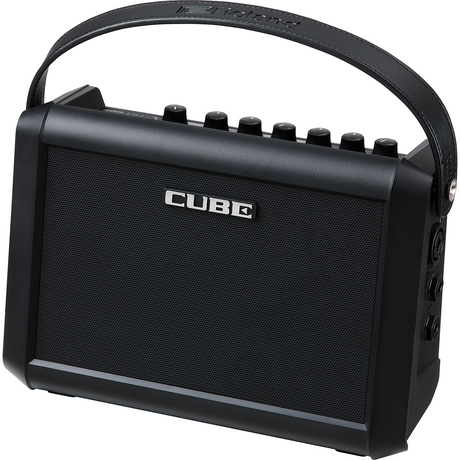 Roland CUBE-Street MINI Speaker