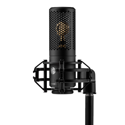 Shure KSM32C/HM Cardioid Condenser Microphone with Hard Mount - Stage Kit