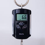 PRS S2 Vela Custom Color Electric Guitar - Frost Green - #S2079312